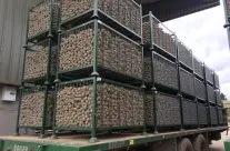 Organic Triplo Seed Potatoes – all ready for planting.