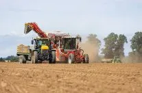 Harvesting Potatoes 2020