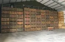New store