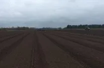 Destoning the first field of Triplo