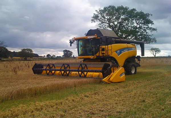 Combinable Crops