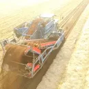 Carrot Harvesting Video Spring 2020
